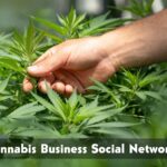 cannabis business social networks