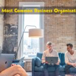 The most common business organizations in the United States 2023