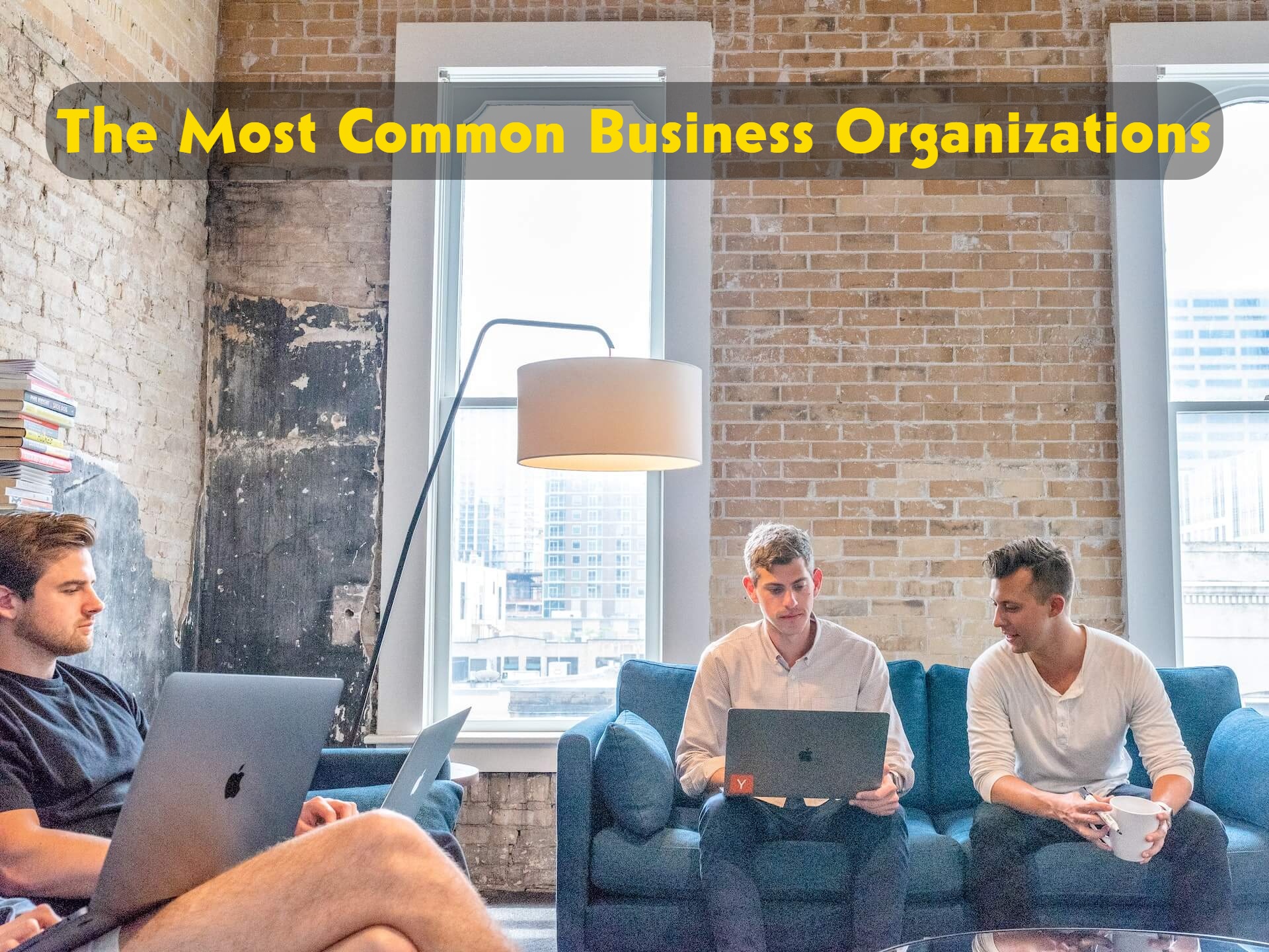The most common business organizations in the United States 2023