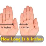 How long is 6 inches 2023