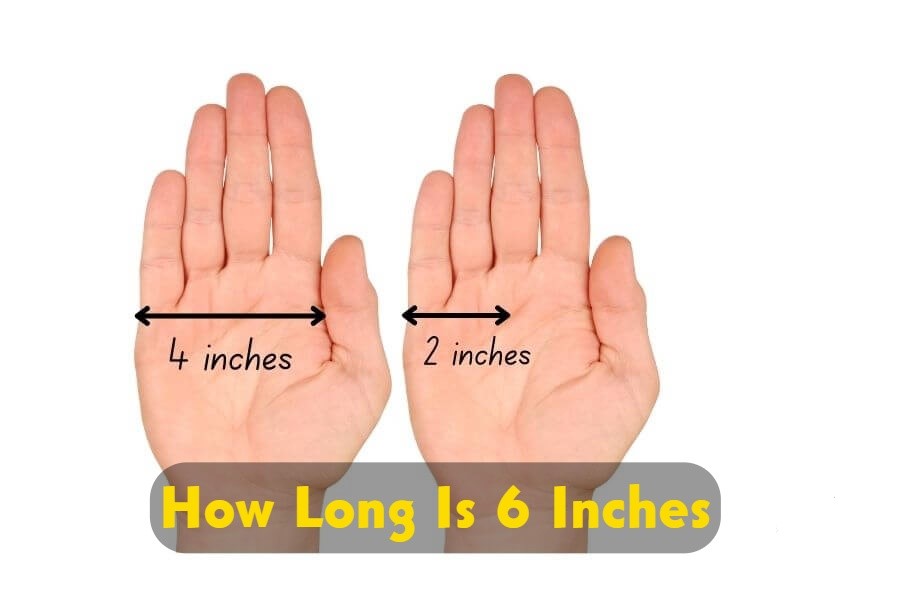 How long is 6 inches 2023