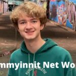 Tommyinnit Net Worth