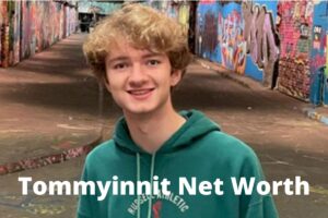 Tommyinnit Net Worth